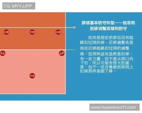 杭州排球队反击战术分析与未来发展展望 杭州排球队反击战术分析与未来发展展望