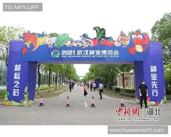 武汉乒乓球队精英赛技术表现分析与未来发展展望